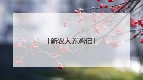 新农人养鸡记