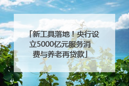 新工具落地！央行设立5000亿元服务消费与养老再贷款