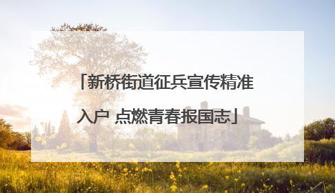 新桥街道征兵宣传精准入户 点燃青春报国志