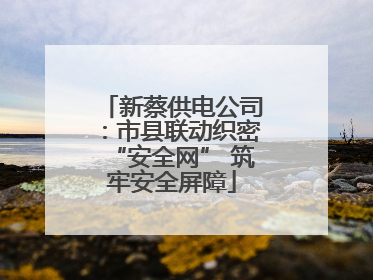 新蔡供电公司：市县联动织密“安全网” 筑牢安全屏障