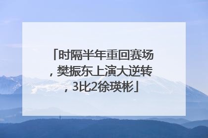 时隔半年重回赛场，樊振东上演大逆转，3比2徐瑛彬