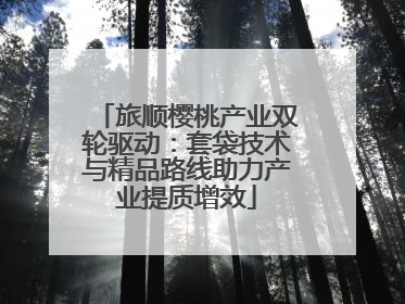 旅顺樱桃产业双轮驱动：套袋技术与精品路线助力产业提质增效