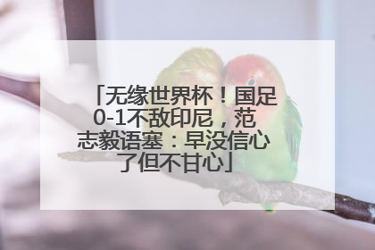 无缘世界杯！国足0-1不敌印尼，范志毅语塞：早没信心了但不甘心