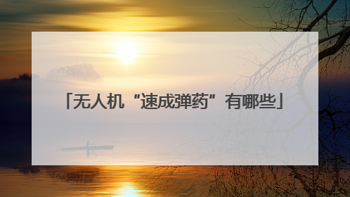 无人机“速成弹药”有哪些