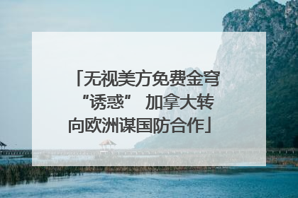 无视美方免费金穹“诱惑” 加拿大转向欧洲谋国防合作