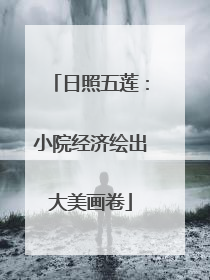日照五莲：小院经济绘出大美画卷