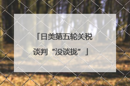 日美第五轮关税谈判“没谈拢”