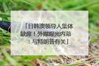 日韩澳领导人集体缺席！外媒曝光内幕：与特朗普有关