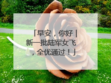 早安，你好｜新一批陆军女飞，全优通过！