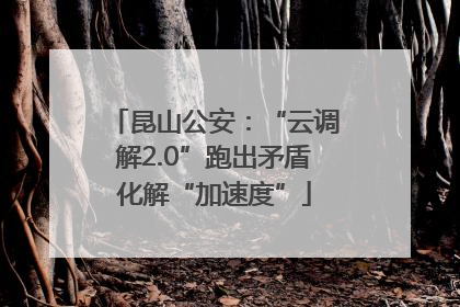 昆山公安：“云调解2.0”跑出矛盾化解“加速度”