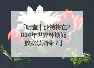 明查｜沙特将在2034年世界杯期间放宽禁酒令？