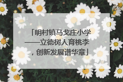 明村镇马戈庄小学——立德树人育桃李，创新发展谱华章