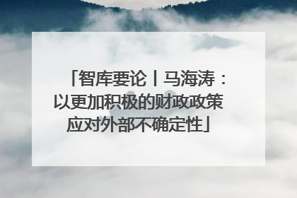 智库要论丨马海涛：以更加积极的财政政策应对外部不确定性
