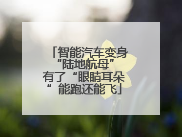智能汽车变身“陆地航母” 有了“眼睛耳朵”能跑还能飞