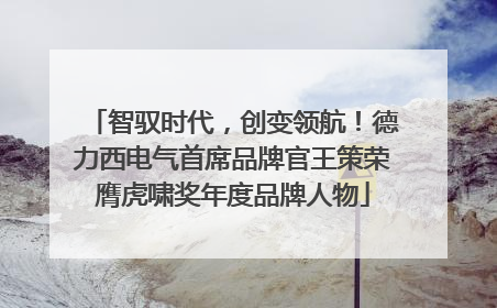 智驭时代，创变领航！德力西电气首席品牌官王策荣膺虎啸奖年度品牌人物