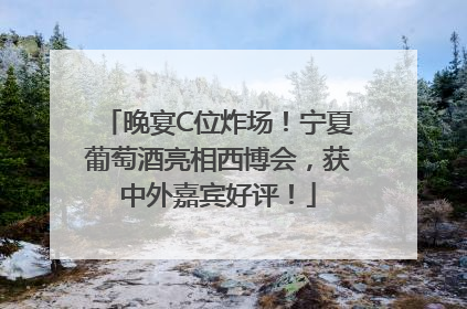 晚宴C位炸场！宁夏葡萄酒亮相西博会，获中外嘉宾好评！
