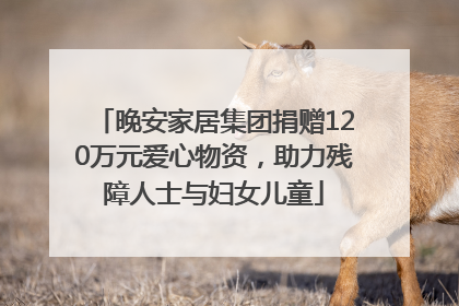 晚安家居集团捐赠120万元爱心物资，助力残障人士与妇女儿童