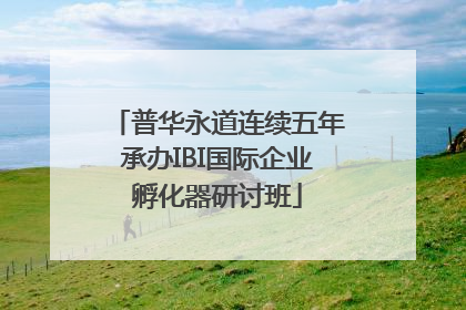 普华永道连续五年承办IBI国际企业孵化器研讨班