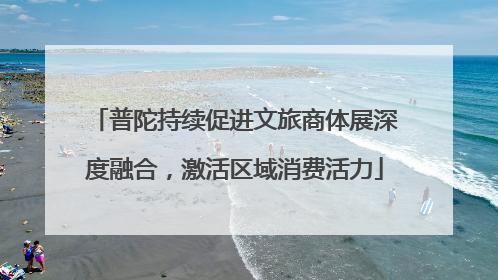 普陀持续促进文旅商体展深度融合，激活区域消费活力