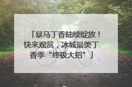 暴马丁香陆续绽放！快来观赏，冰城最美丁香季“终极大招”