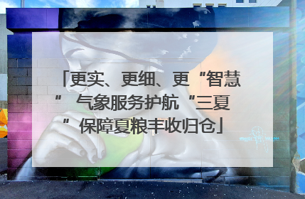 更实、更细、更“智慧” 气象服务护航“三夏”保障夏粮丰收归仓