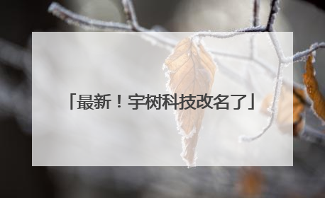 最新！宇树科技改名了