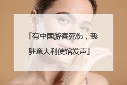 有中国游客死伤，我驻意大利使馆发声