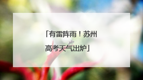 有雷阵雨！苏州高考天气出炉