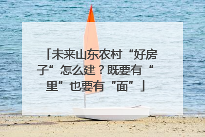 未来山东农村“好房子”怎么建？既要有“里”也要有“面”