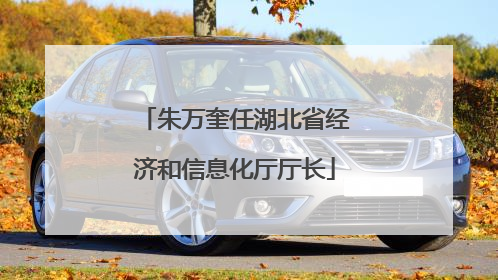 朱万奎任湖北省经济和信息化厅厅长