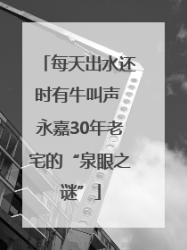 每天出水还时有牛叫声 永嘉30年老宅的“泉眼之谜”