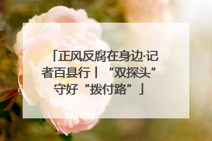 正风反腐在身边·记者百县行丨“双探头”守好“拨付路”