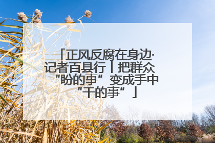 正风反腐在身边·记者百县行丨把群众“盼的事”变成手中“干的事”
