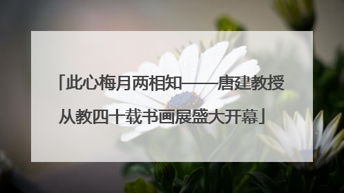 此心梅月两相知——唐建教授从教四十载书画展盛大开幕