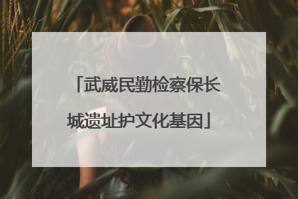 武威民勤检察保长城遗址护文化基因