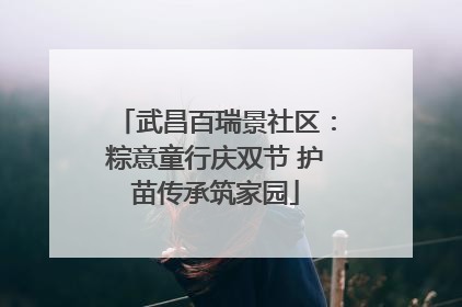 武昌百瑞景社区：粽意童行庆双节 护苗传承筑家园