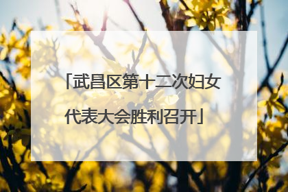 武昌区第十二次妇女代表大会胜利召开