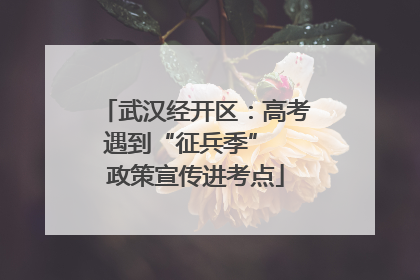 武汉经开区：高考遇到“征兵季”  政策宣传进考点
