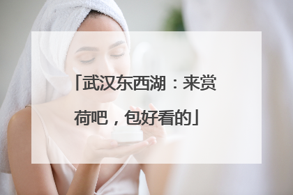 武汉东西湖：来赏荷吧，包好看的