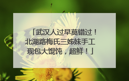 武汉人过早莫错过！北湖路梅氏三姊妹手工现包大馄饨，超鲜！