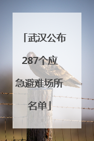 武汉公布287个应急避难场所名单
