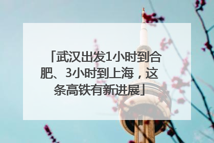 武汉出发1小时到合肥、3小时到上海，这条高铁有新进展