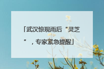 武汉惊现雨后“灵芝”，专家紧急提醒