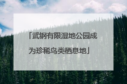 武钢有限湿地公园成为珍稀鸟类栖息地