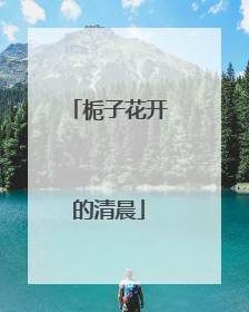 栀子花开的清晨