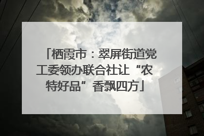 栖霞市：翠屏街道党工委领办联合社让“农特好品”香飘四方