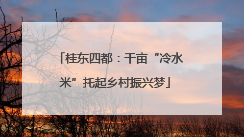 桂东四都：千亩“冷水米”托起乡村振兴梦