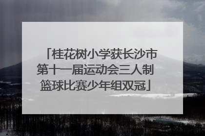 桂花树小学获长沙市第十一届运动会三人制篮球比赛少年组双冠