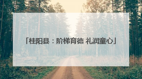 桂阳县：阶梯育德 礼润童心