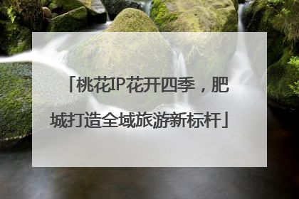 桃花IP花开四季，肥城打造全域旅游新标杆